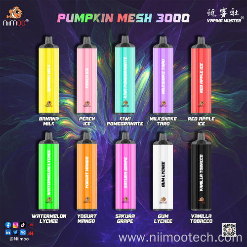 Brand Mesh Coil Rechargeable Vape 3000Puffs